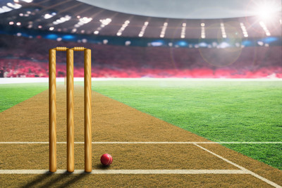 Decoding the Cricket Pitch: Construction, Characteristics, and Analysis