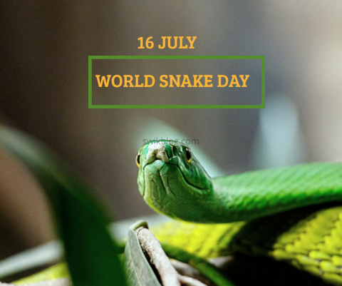 World Snake Day 16th July 2023- 10 Mind-blowing Facts