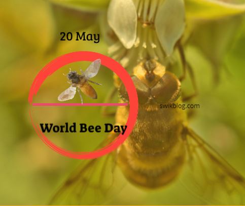 World Bee Day 20th May 2023 Theme