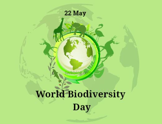 International Day For Biological Diversity 22nd May 2023 Theme